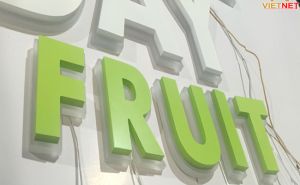 Bảng hiệu chữ nổi mica tiệm Fruit