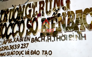 Gia công bảng hiệu chữ inox vàng cho Trường TH Biển Bạch - Cà Mau