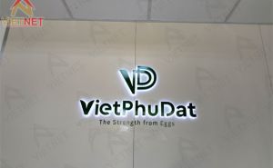 Gia công chữ inox sơn hấp nhiệt Việt Phú Đạt